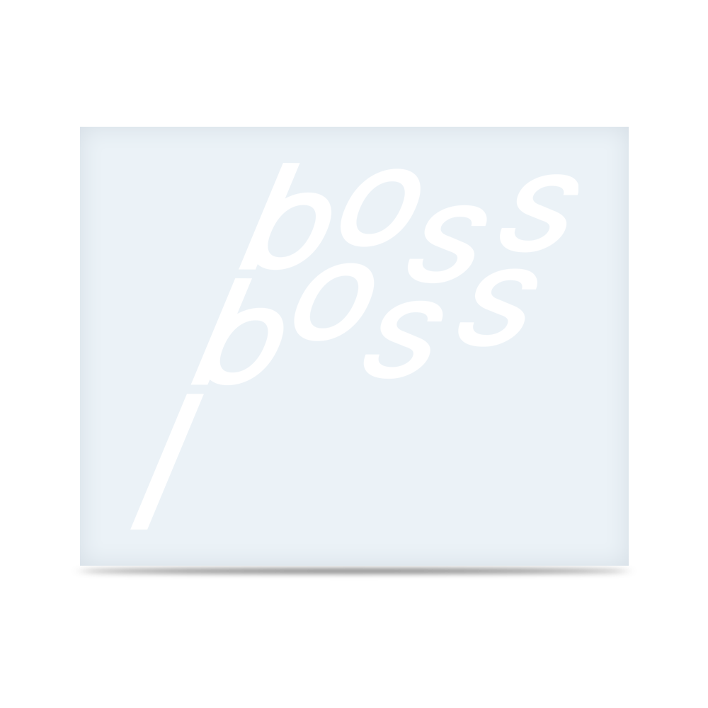 Boss Boss Racing